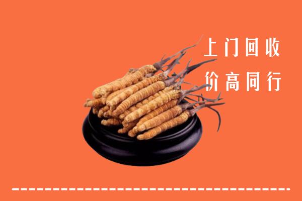 肇庆高要回收冬虫夏草
