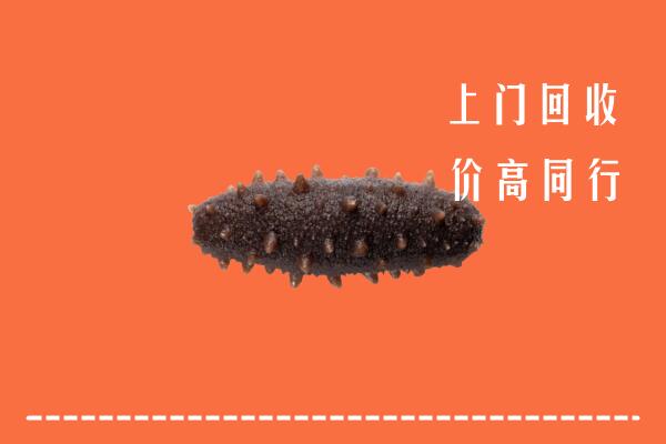 肇庆高要回收海参