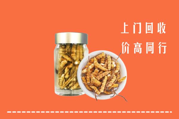 肇庆高要回收冬虫夏草