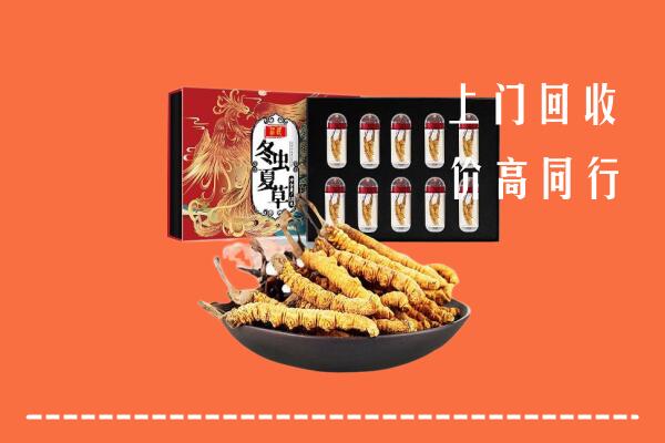 肇庆高要回收虫草